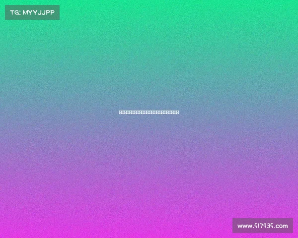 高效整理装备的技巧与方法，提升你的生活与工作效率